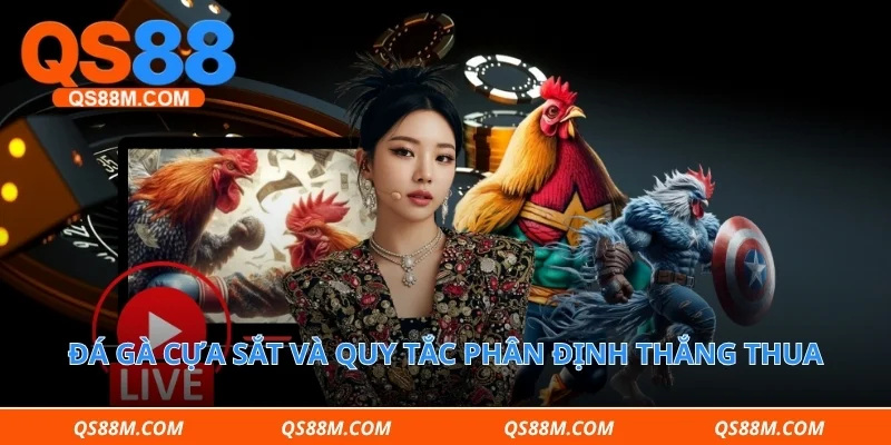 Đá gà cựa sắt và quy tắc phân định thắng thua
