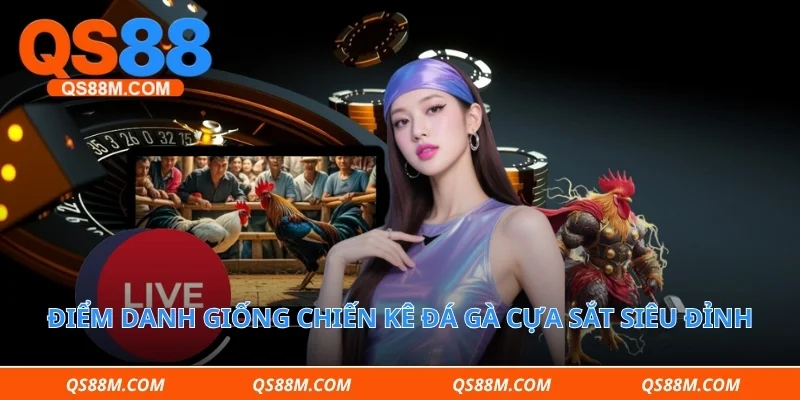 Điểm danh giống chiến kê đá gà cựa sắt siêu đỉnh