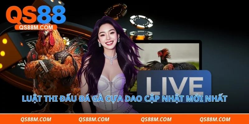 Luật thi đấu đá gà cựa dao cập nhật mới nhất