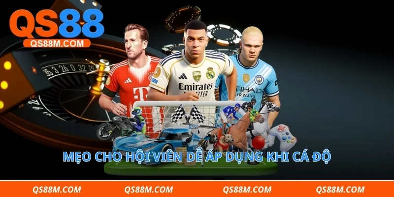 Mẹo cho hội viên dễ áp dụng khi cá độ