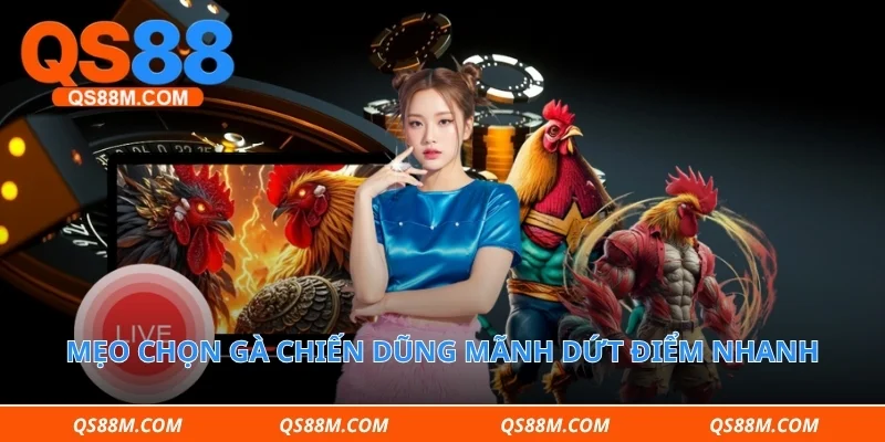 Mẹo chọn gà chiến dũng mãnh dứt điểm nhanh