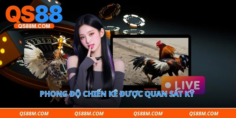 Phong độ chiến kê được quan sát kỹ trước mỗi trận đấu