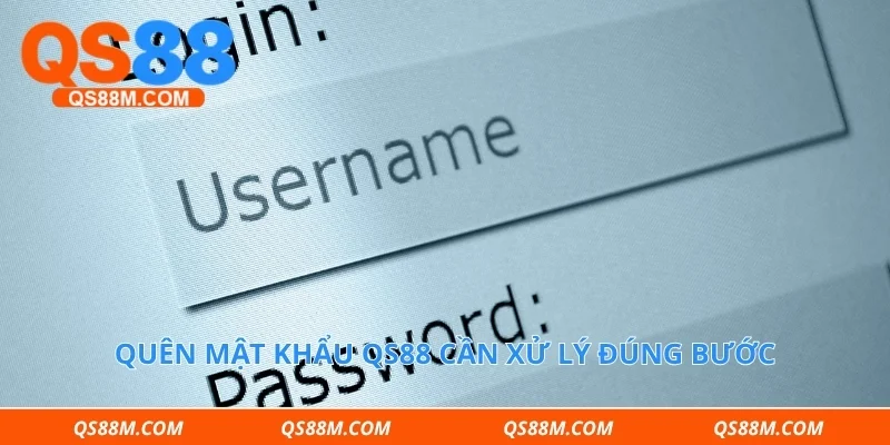 Quên mật khẩu qs88 cần xử lý đúng bước