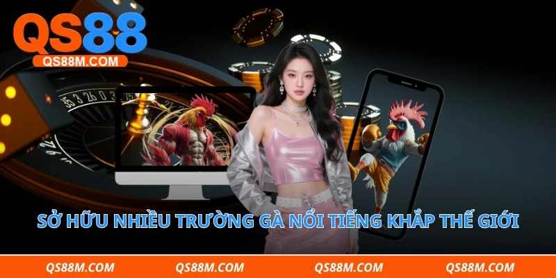 Sở hữu nhiều trường gà nổi tiếng khắp thế giới