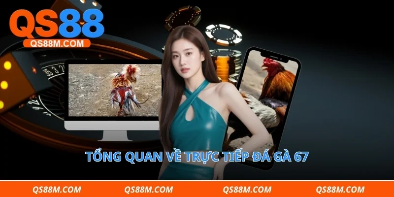 Thông tin tổng quan về trực tiếp đá gà 67